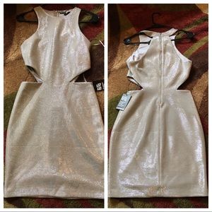 NWT Express Metallic Silver Dress